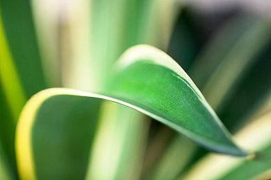 Key社麻枝准RPG手游《红烧天堂》现已在Steam免费推出